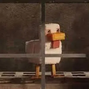 Probatu zure behaketa-trebetasunak mundu suzko eta blokezko batean. Aurkitu ezkutuko laba-oilasko guztiak denbora agortu baino lehen. Jolastu doan eta ikusi…